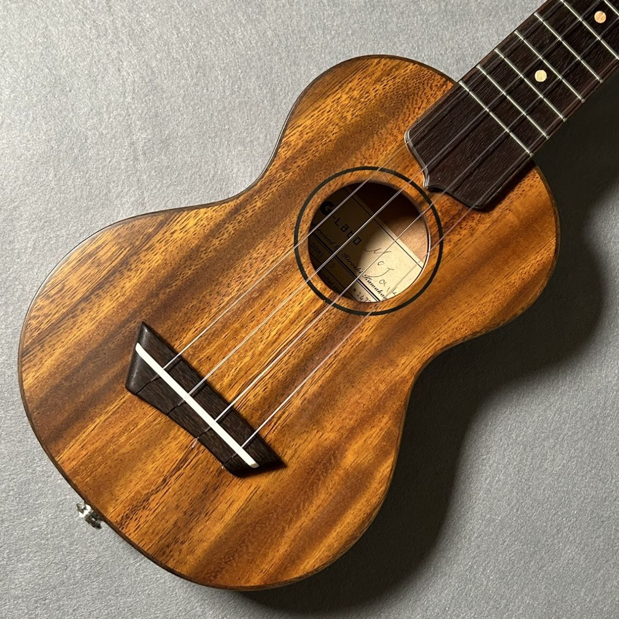 G-LaboDISH-1TS