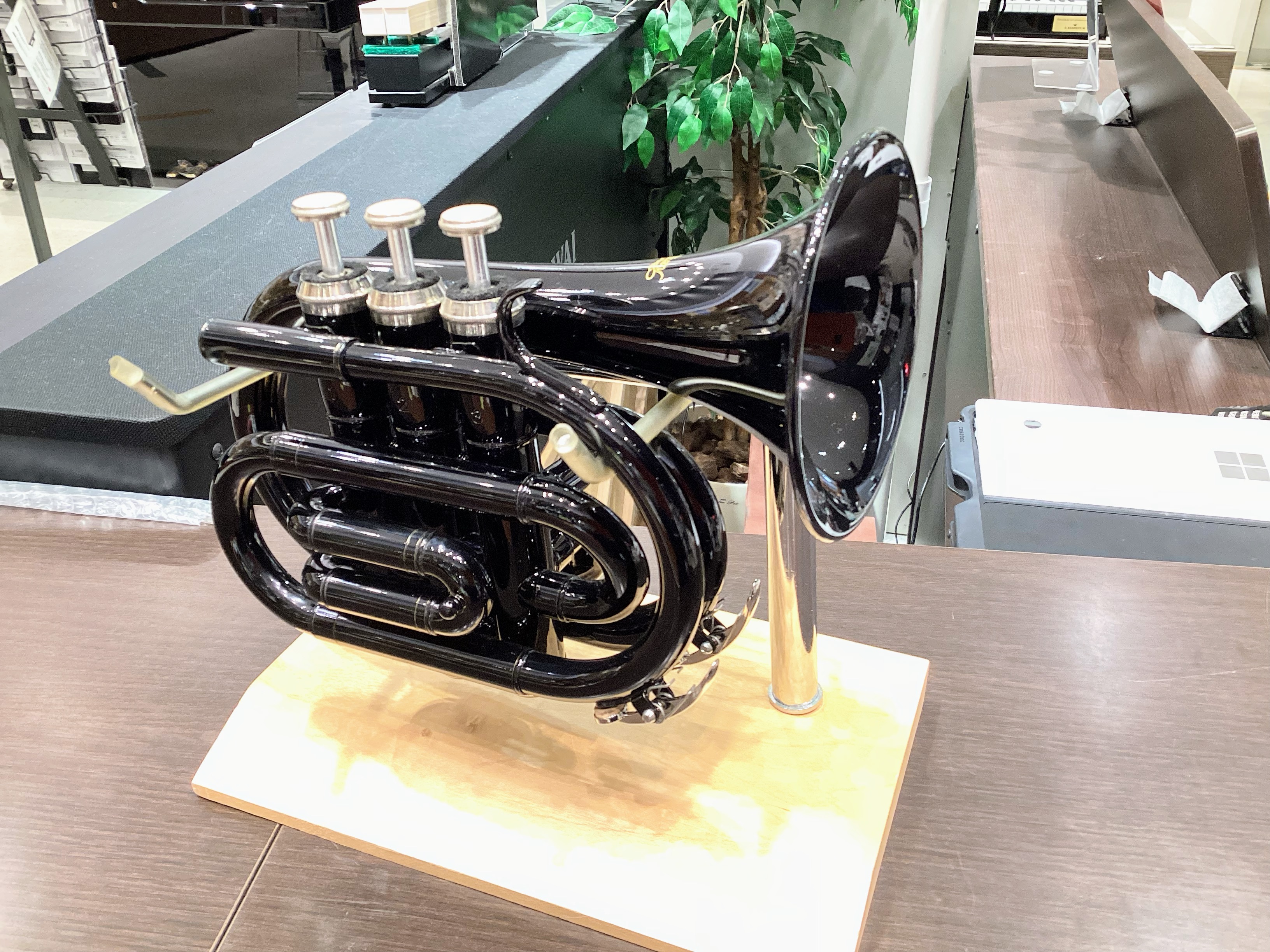 Kaerntner　トランペットKTR33P BK