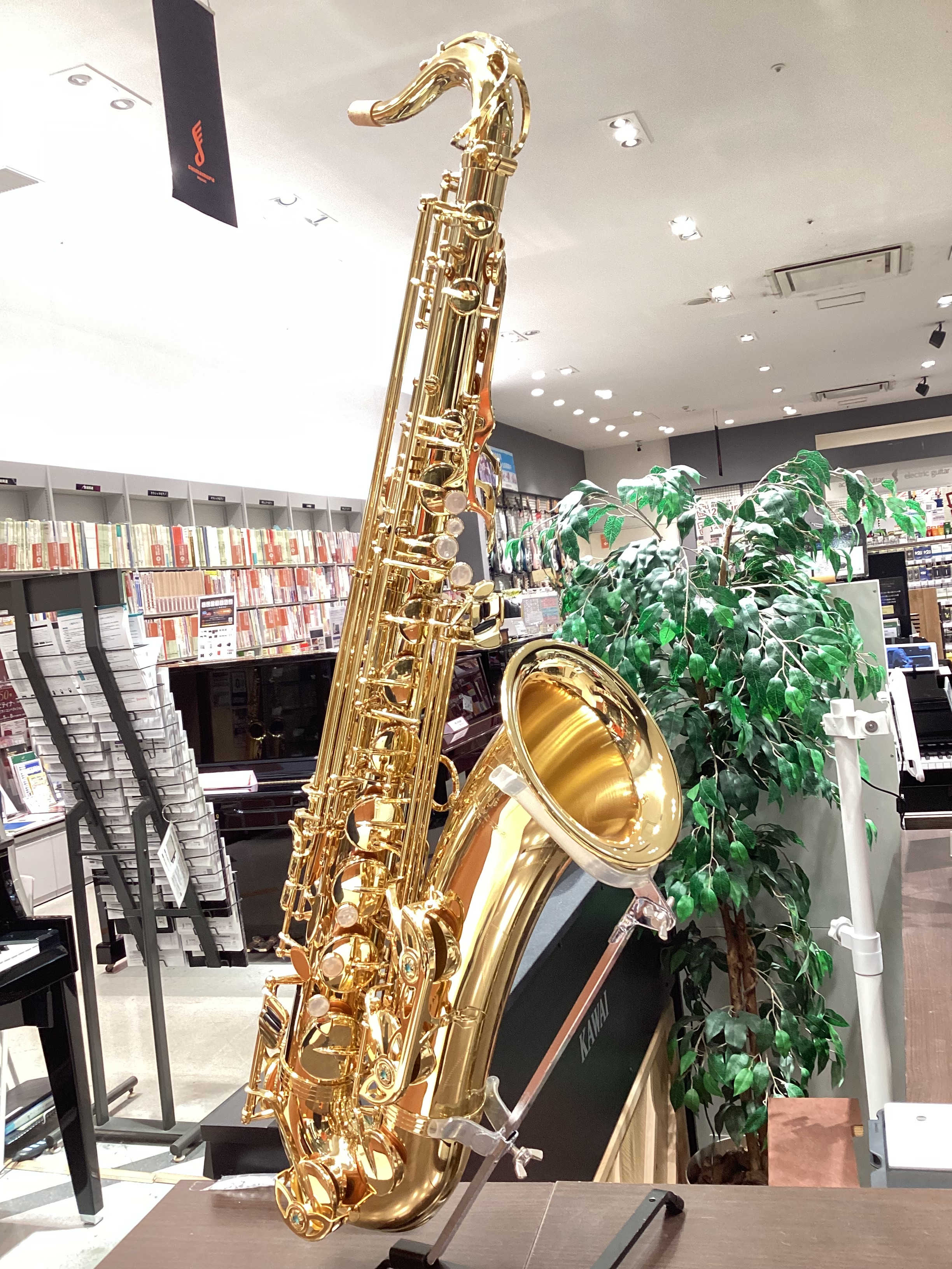 YANAGISAWA T-WO1