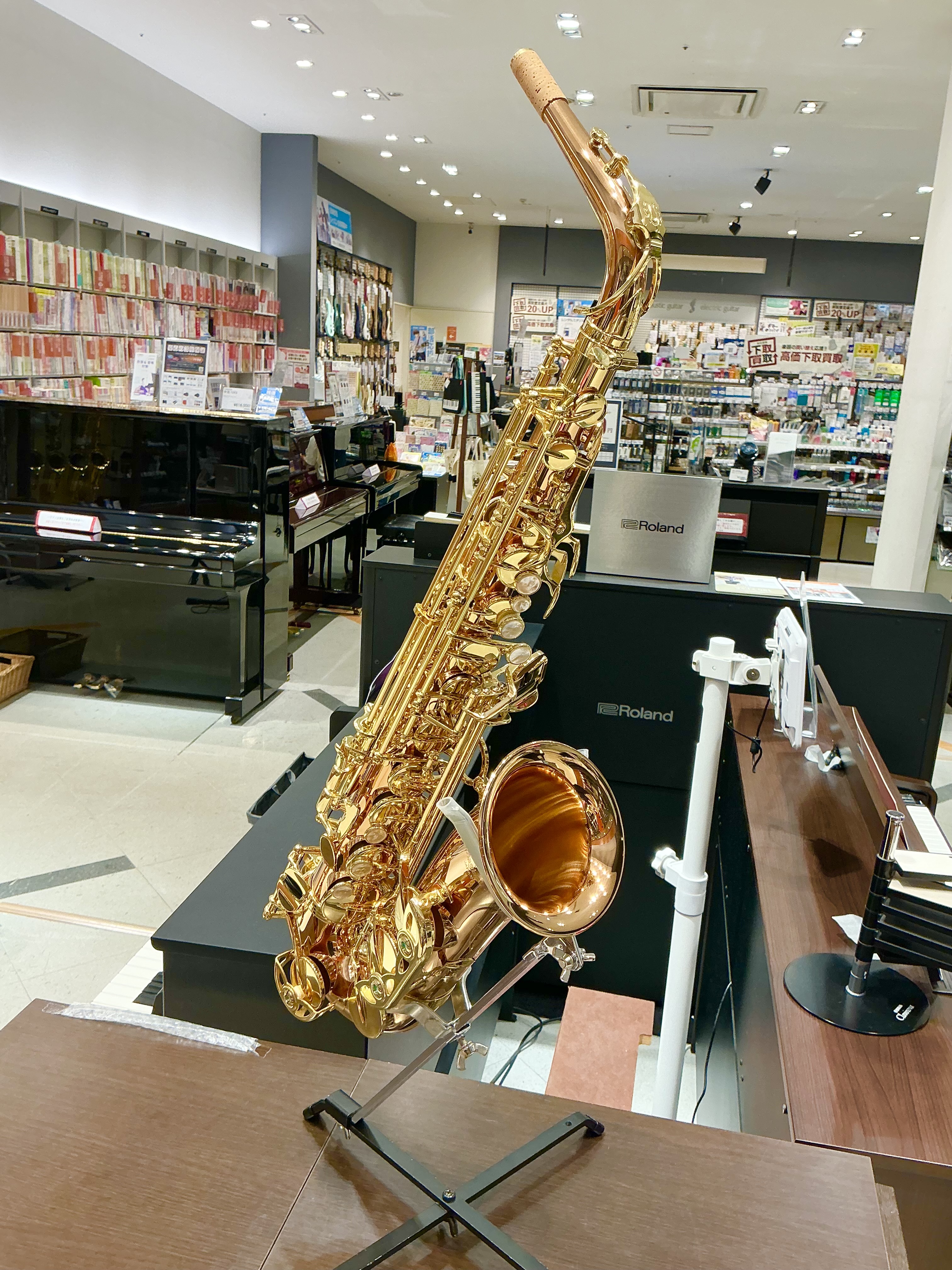 YANAGISAWAA-WO2