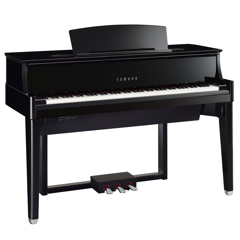 N1X
ハイブリッドピアノシリーズ「AvantGrand」の特長をシンプルに備えているモデル。ハイブリッドピアノの中では比較的コンパクトながら、その音色やタッチ、表現力は、ピアノの本質に迫るものです。

カラー
黒 鏡面艶出し　￥715,000(展示)