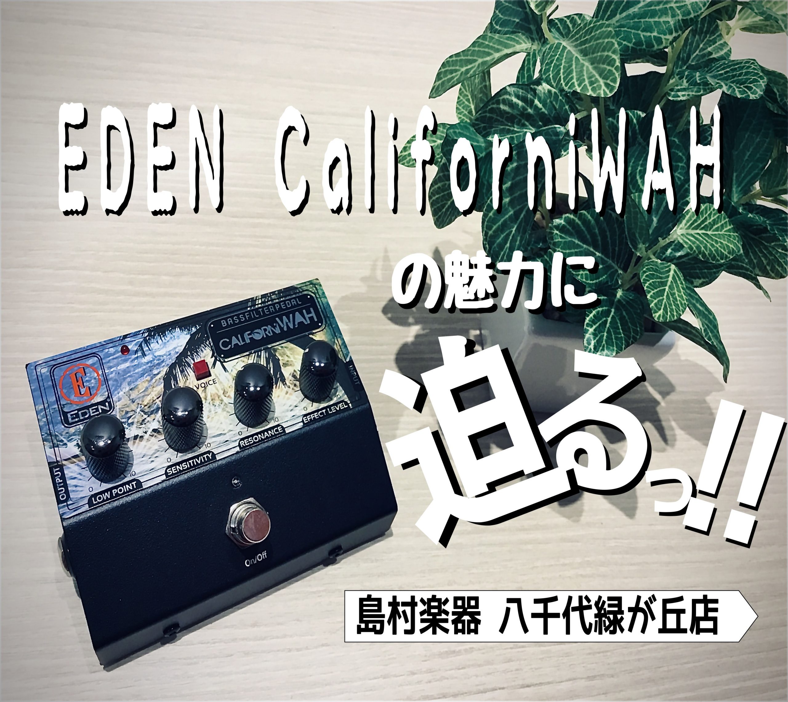 *ベース用オートワウ｜CaliforniWah ***EDENのワウに関するこのページは5分で読むことが出来ます。 千葉県八千代市・習志野市、東葉高速線 八千代緑が丘駅より徒歩1分、イオンモール八千代緑が丘店4Fに島村楽器八千代緑が丘店があります。 八千代近隣の方にご利用頂いております。 [http […]