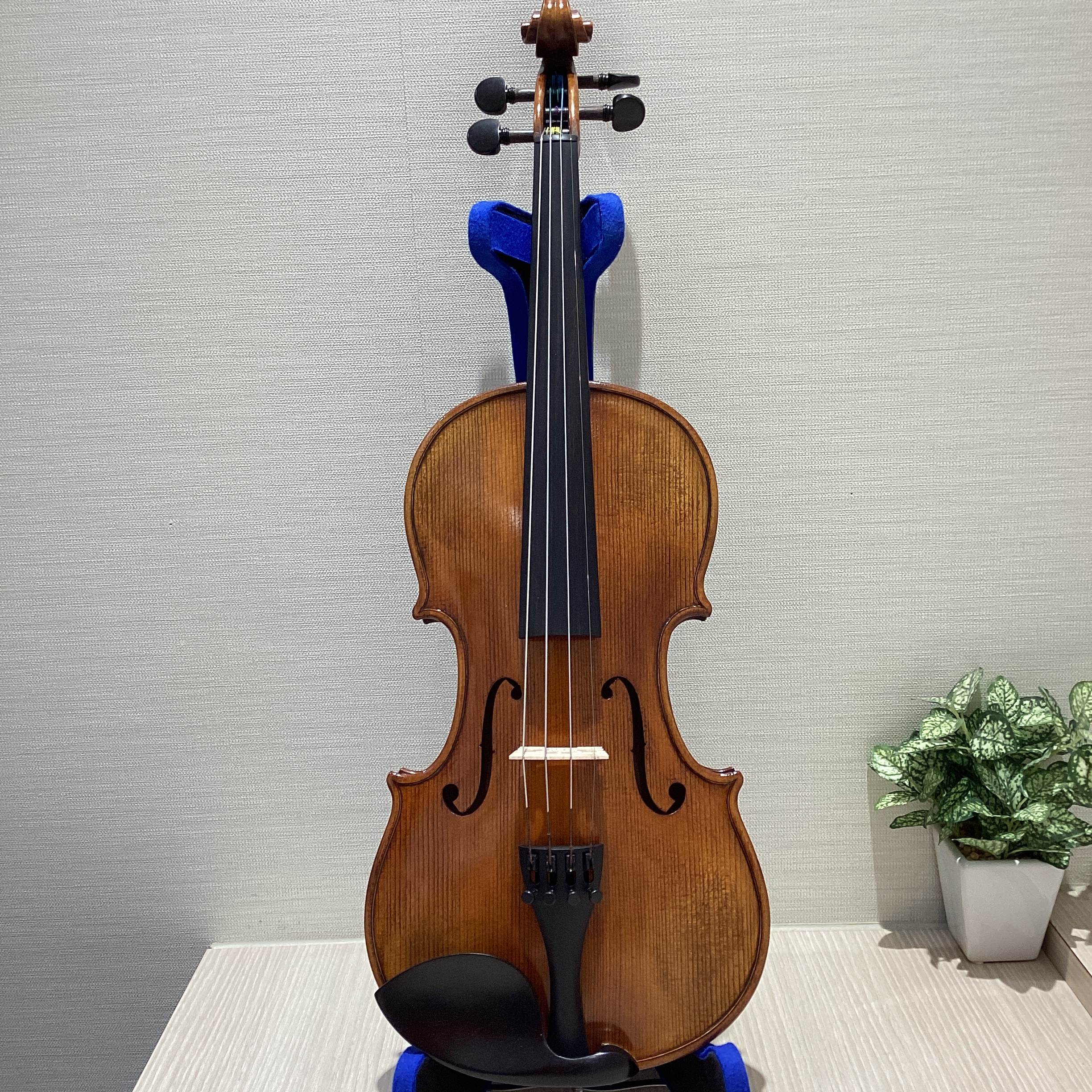 Nicolo Santi NSN60S 4/4