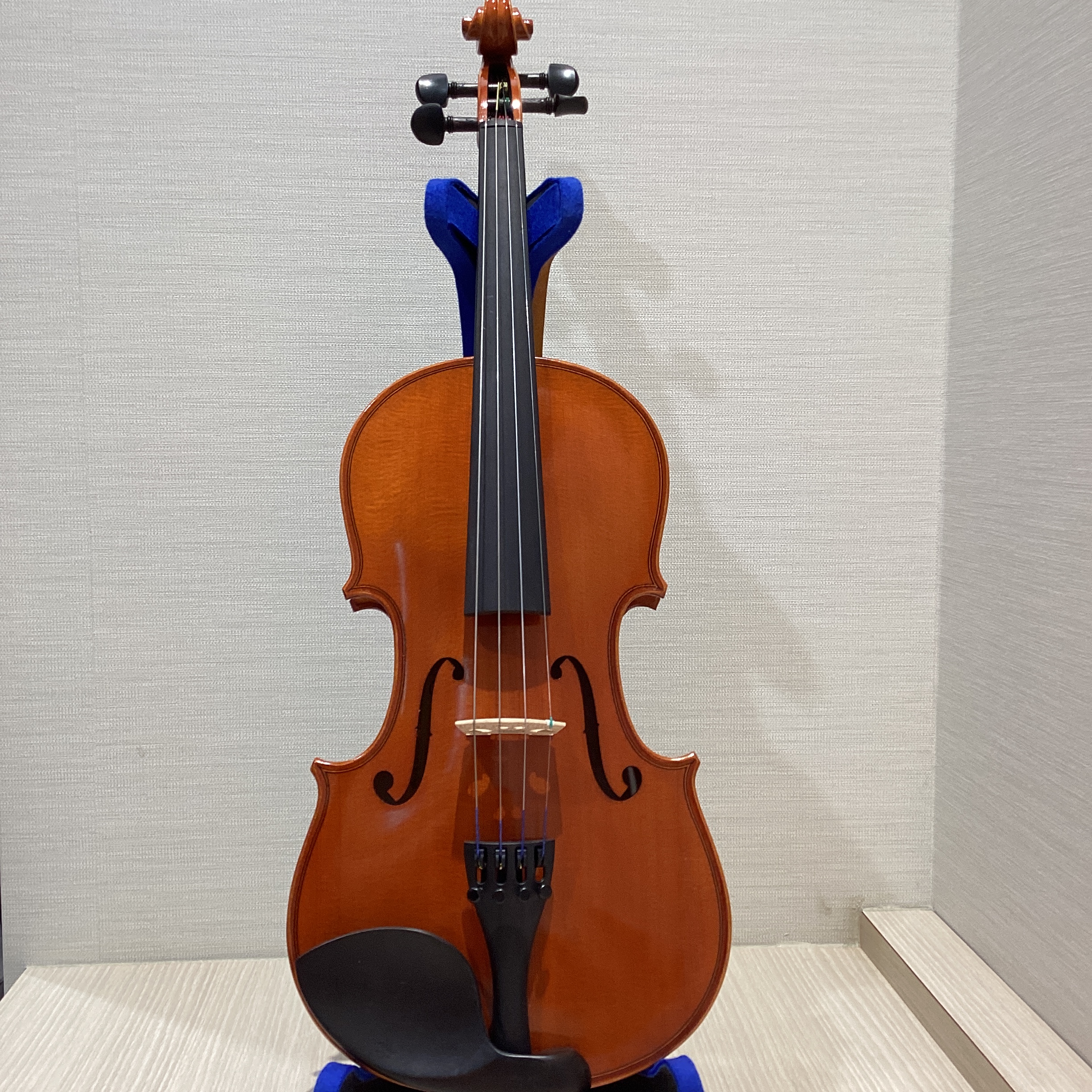 Eastman SVL80セット　4/4