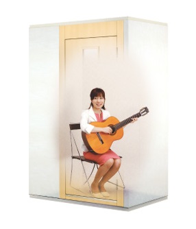 KAWAI ナサールライトタイプ（1.2畳サイズ / Dr-40）