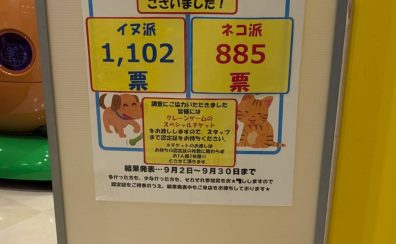 やちみど通信 |キーボードで憧れの曲を弾きたいということと意外と犬派が多い衝撃-かねごんブログ