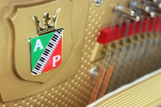 1864年創業のペトロフピアノはチェコのボヘミア地方で作られています。 コンパクトなデザインと木目の美しさで人気のペトロフ。1998年の民営化以降、2007年のEEX認定(ヨーロッパ製品のみに与えられるヨーロピアン・エクセレンス)、2014年には創業150周年などピアノ作りの伝統あるヨーロッパで着実 […]