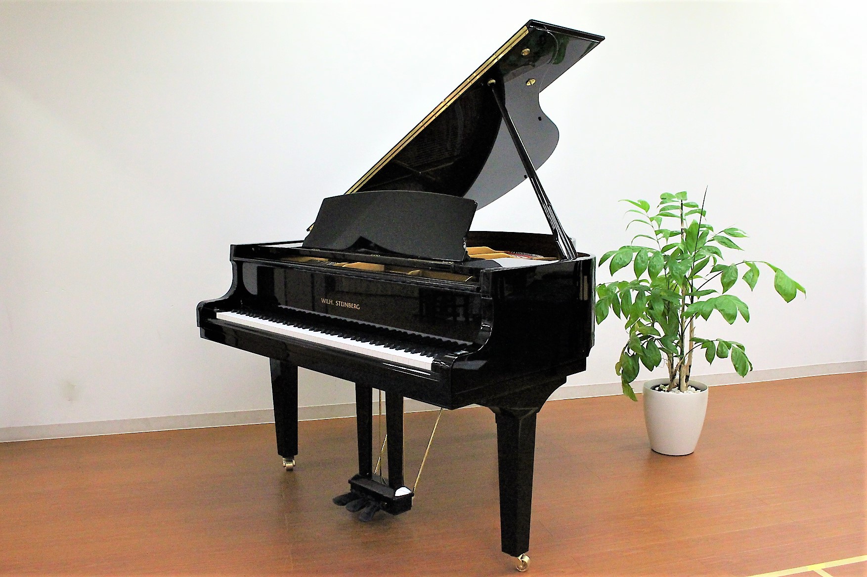 スタインベルグP152