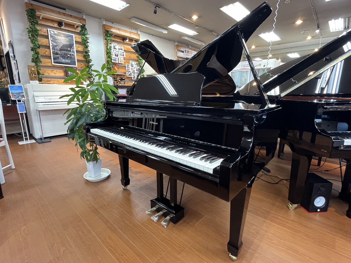 RolandGP609