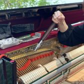 【1日1組様限定】ピアノ調律を体験してみよう！