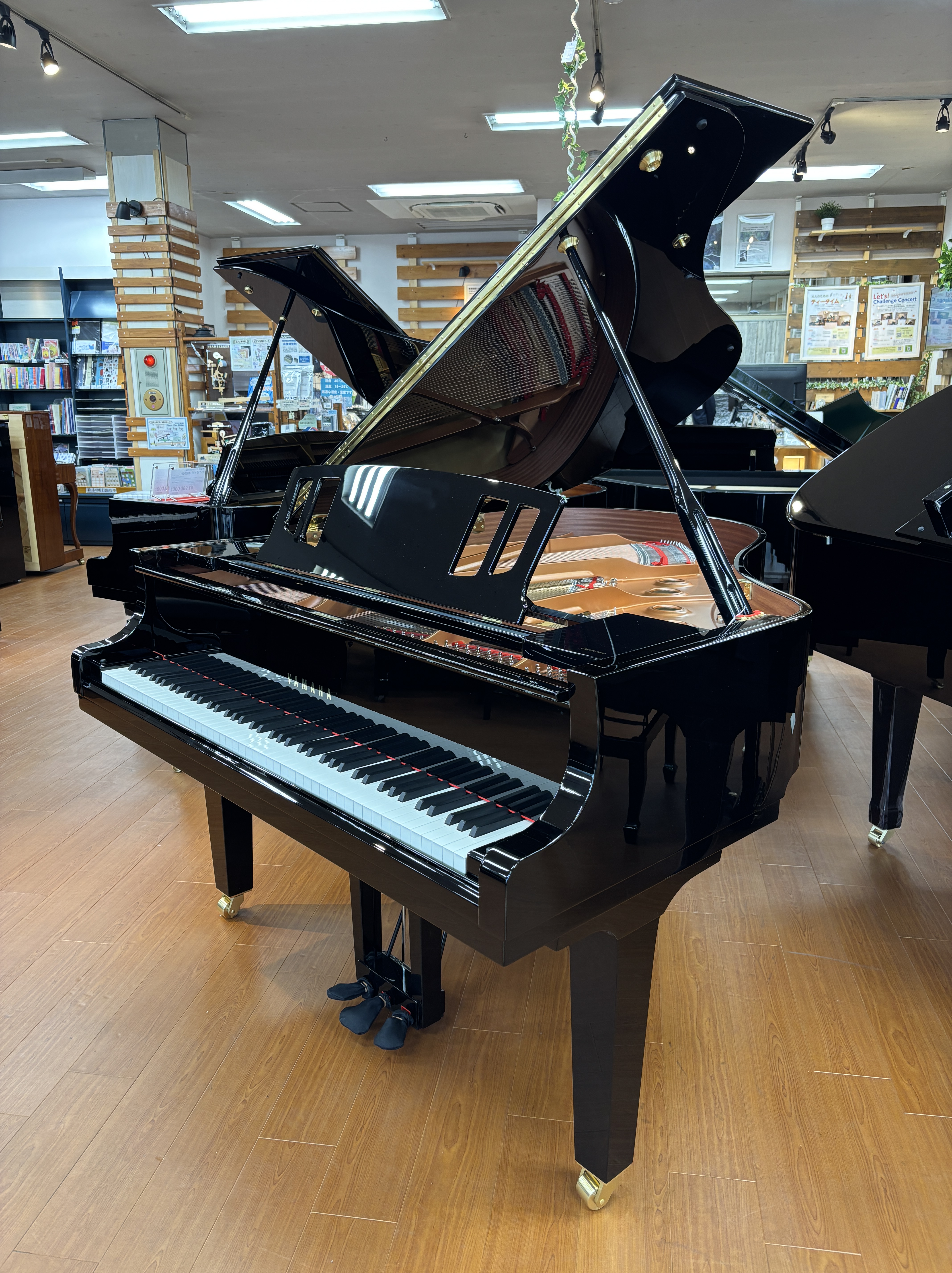 YAMAHAC2X espressivo