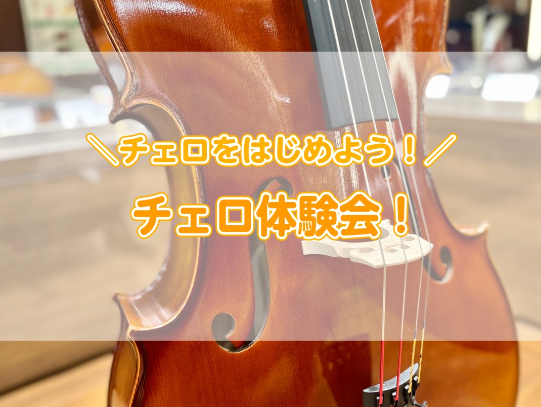 弦楽器】チェロ展示はじめました！四日市店の展示機種のご紹介します