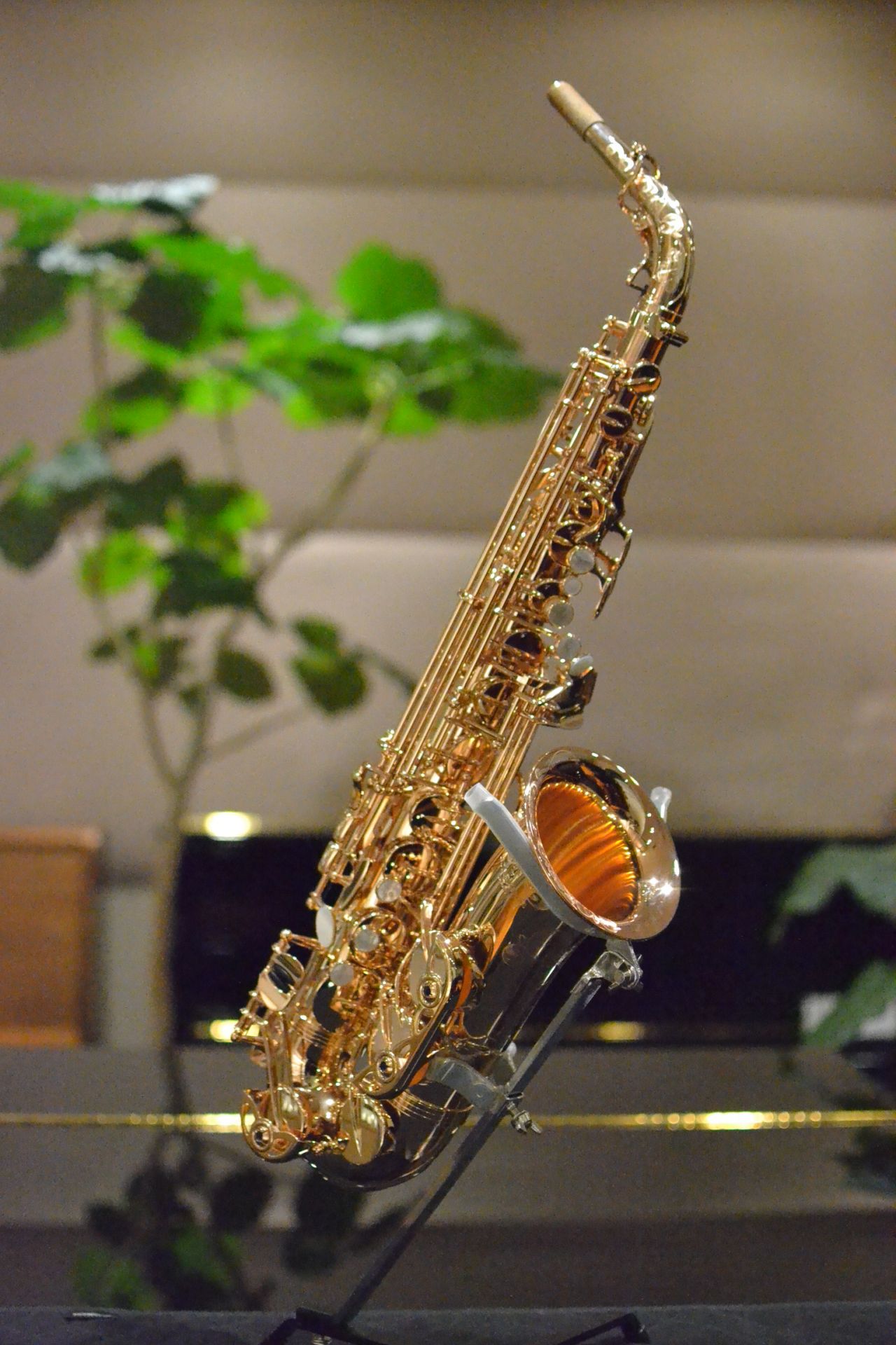 YANAGISAWA A-WO37PGP