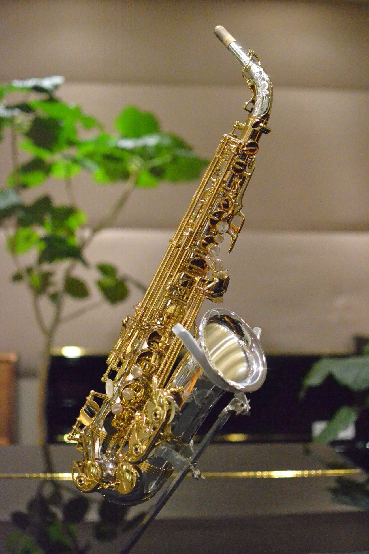 YANAGISAWA A-WO37SS