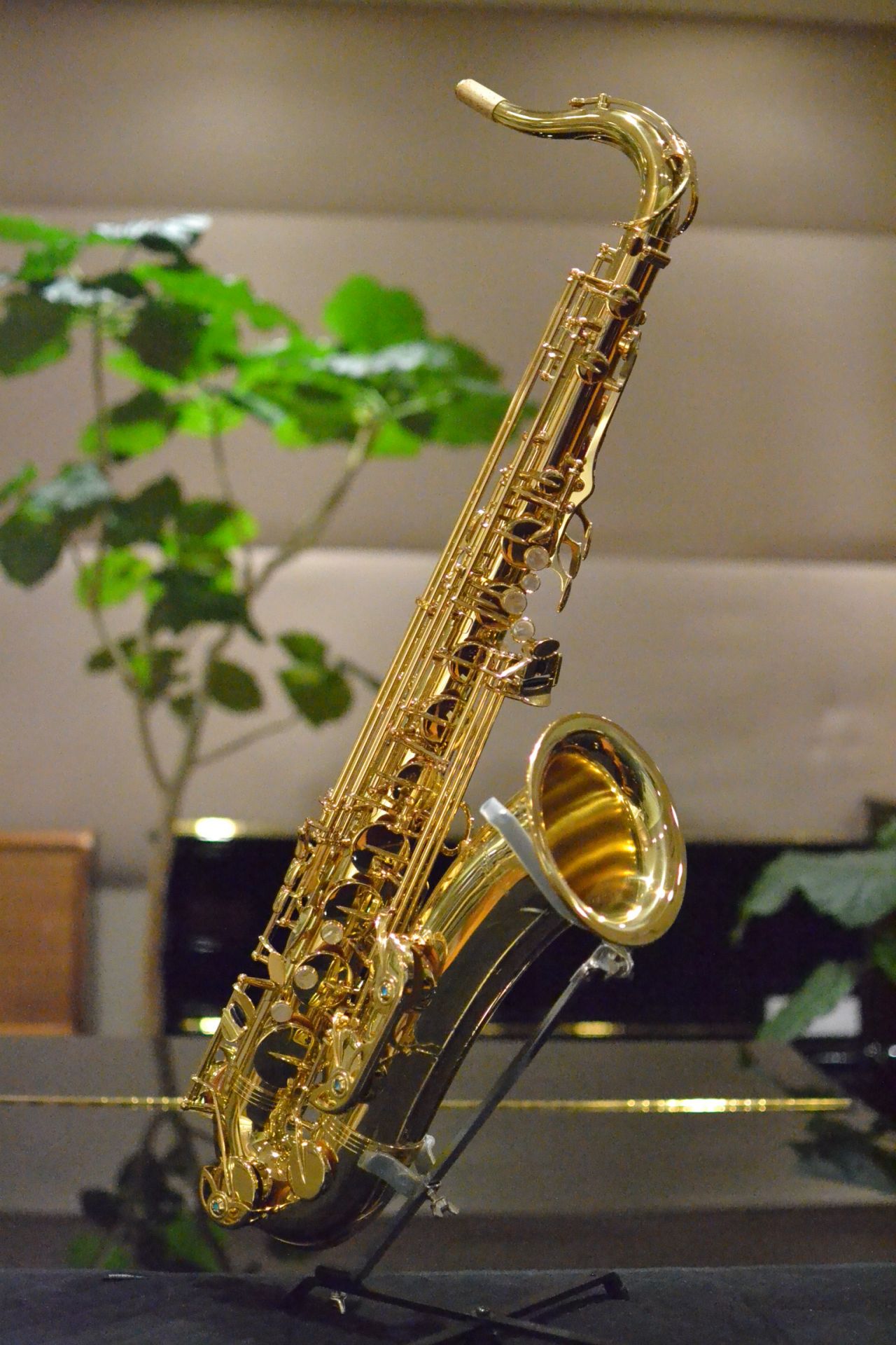 YANAGISAWA　T-WO1