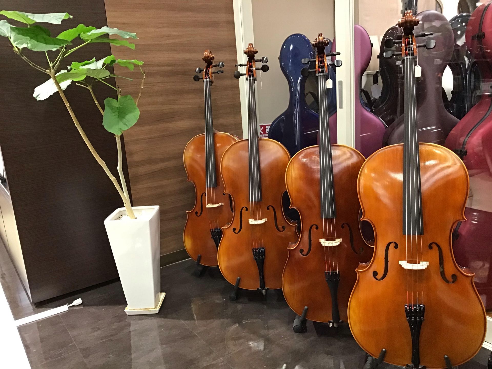 当店一番人気！ドイツ製チェロ＆バイオリン「Anton Prell」各種お試し頂けます！
