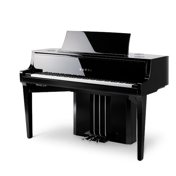メーカー：KAWAI<br />
型名：NV10S<br />
販売価格(税込)：￥954,800<br />
カラー：黒鏡面(展示中)<br />
<br />
☆本物のタッチ感へのこだわり、グランドピアノの演奏フィーリング。