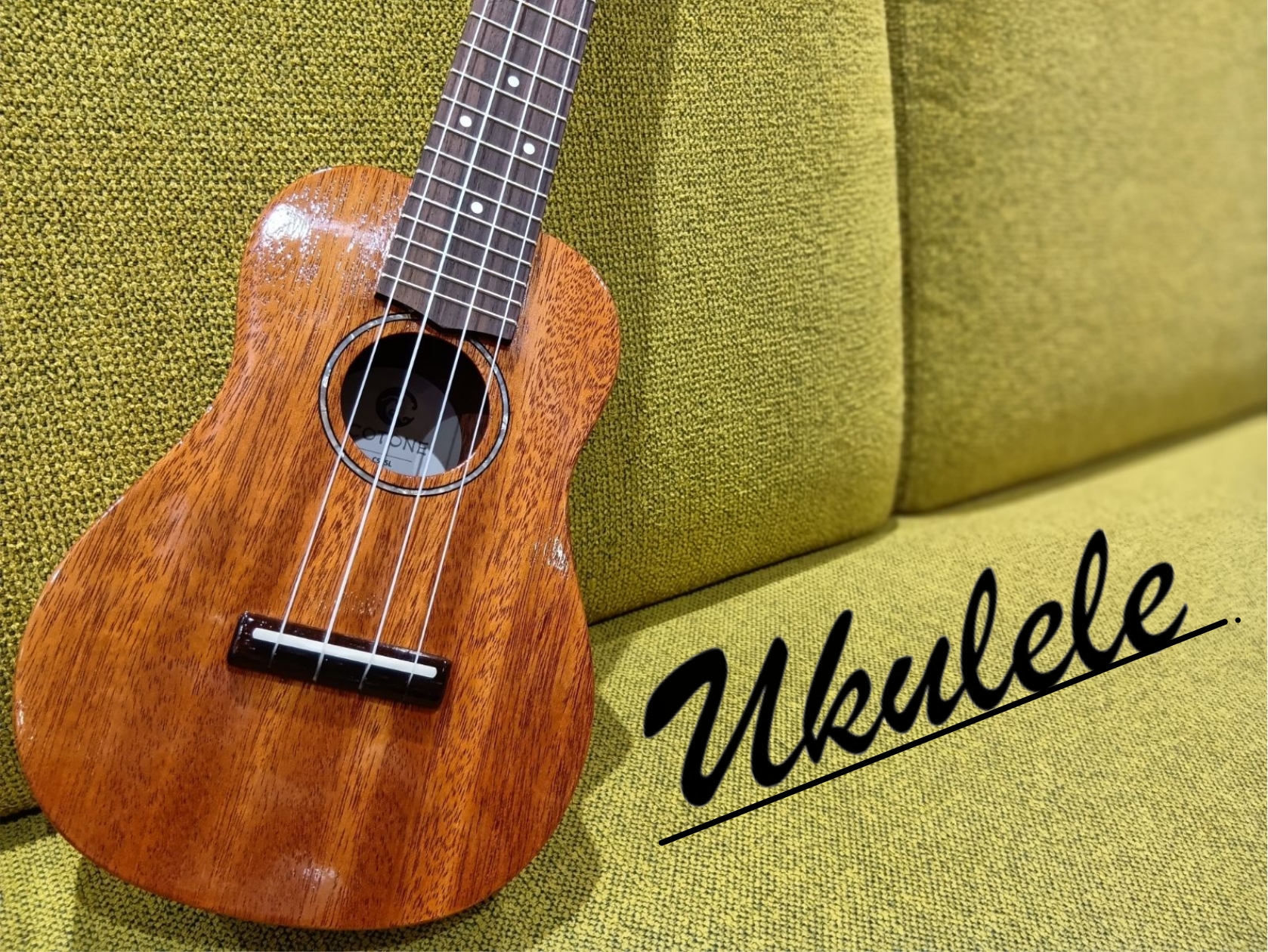 CONTENTS【キャンペーン情報】11/21(金)～11/25(火) みなとみらいポイントアップキャンペーン開催！Hanalei（ハナレイ）新ラインナップみなとみらい店ウクレレラインナップメーカー別「ウクレレデビューを応援！初心者セット特集」アランフェス（Aranjuez）ウクレレケースウクレレレ […]