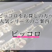 ピッコロをお探しの方へ人気シリーズのご案内！