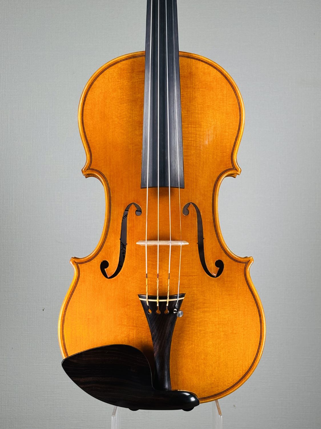 ViolinMarcello Bellei , Italy - Modena, 2025