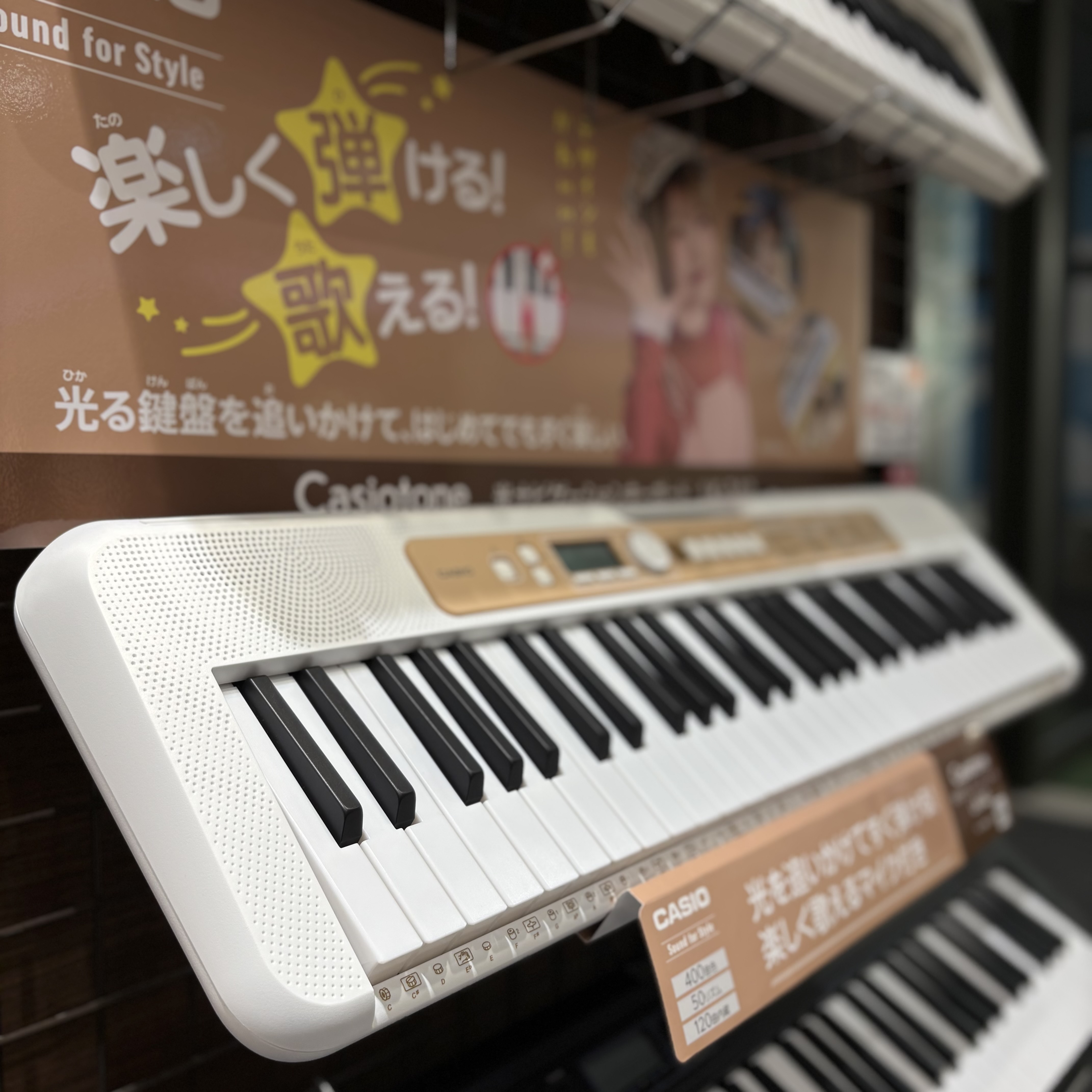 光る鍵盤で楽しくステップアップ!CASIO/LK-340