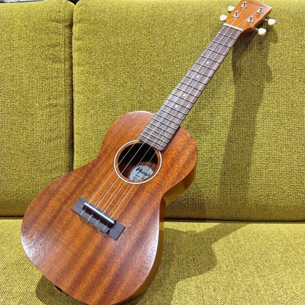 Hanalei／HUK-100CII(コンサートサイズ)