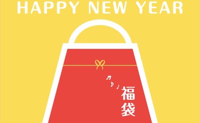 【数量限定】これから始めるウクレレ福袋！Hanalei×NUXお得セット！