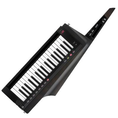 KORG RK-100S 2 BK ブラック KEYTAR ショルダーキーボード コルグ 【 ミーナ町田店 】<br />
<br />
￥61,800税込