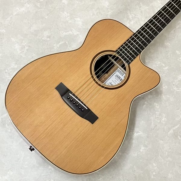 ASTURIAS Solo LTD/C/PU【現物画像】【島村楽器オリジナルモデル】 アストリアス 【 ららぽーと横浜店 】<br />
<br />
￥ 258,000 税込<br />
