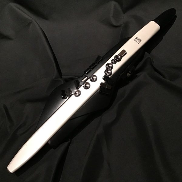 Roland AE-20【展示品のため特別価格】 ローランド 【 ららぽーと湘南平塚店 】<br />
<br />
￥ 97,020 税込<br />
