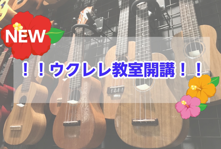 *新しくウクレレ教室が開講されました！！ ===z=== みなさまこんにちは！ 音楽教室担当竹内・石川宗です。 ご要望が多かったウクレレ教室が、いよいよ[!!5月!!]より水曜日と金曜日に新規開講いたしました！お子様から大人の方まで担当講師が楽しく丁寧な指導をさせていただきます。憧れのあの曲を弾ける […]