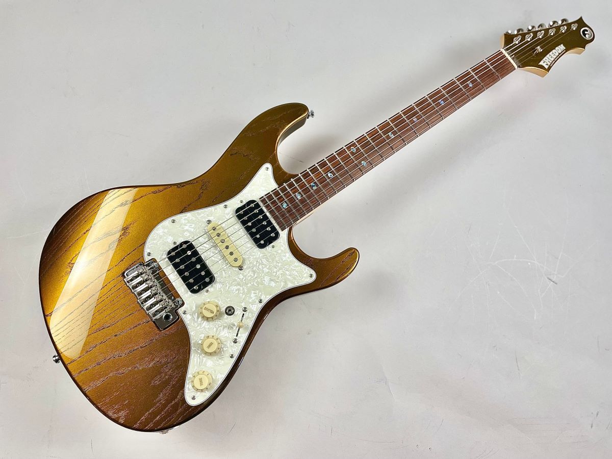 エレキギター【フリーダムカスタムギターリサーチ】Custom Style Hydra Classic LS-22F Ash 三太夫