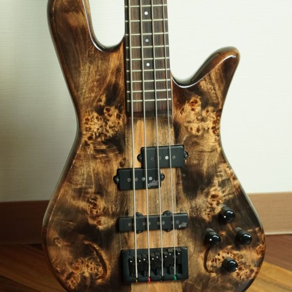 Spector NS ETHOS 4 Super Faded Black 選定個体<br />
¥273,680→￥207,570