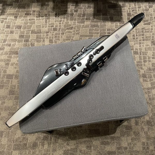 Roland AE-30 Aerophone Pro ウインドシンセサイザー<br />
￥184,800→￥167,200（税込）
