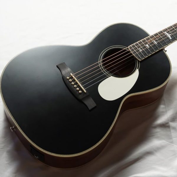 PRS 2022 SE Parlor w/Fishman<br />
