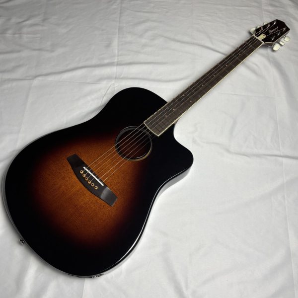 L.R.Baggs AEG1 SB