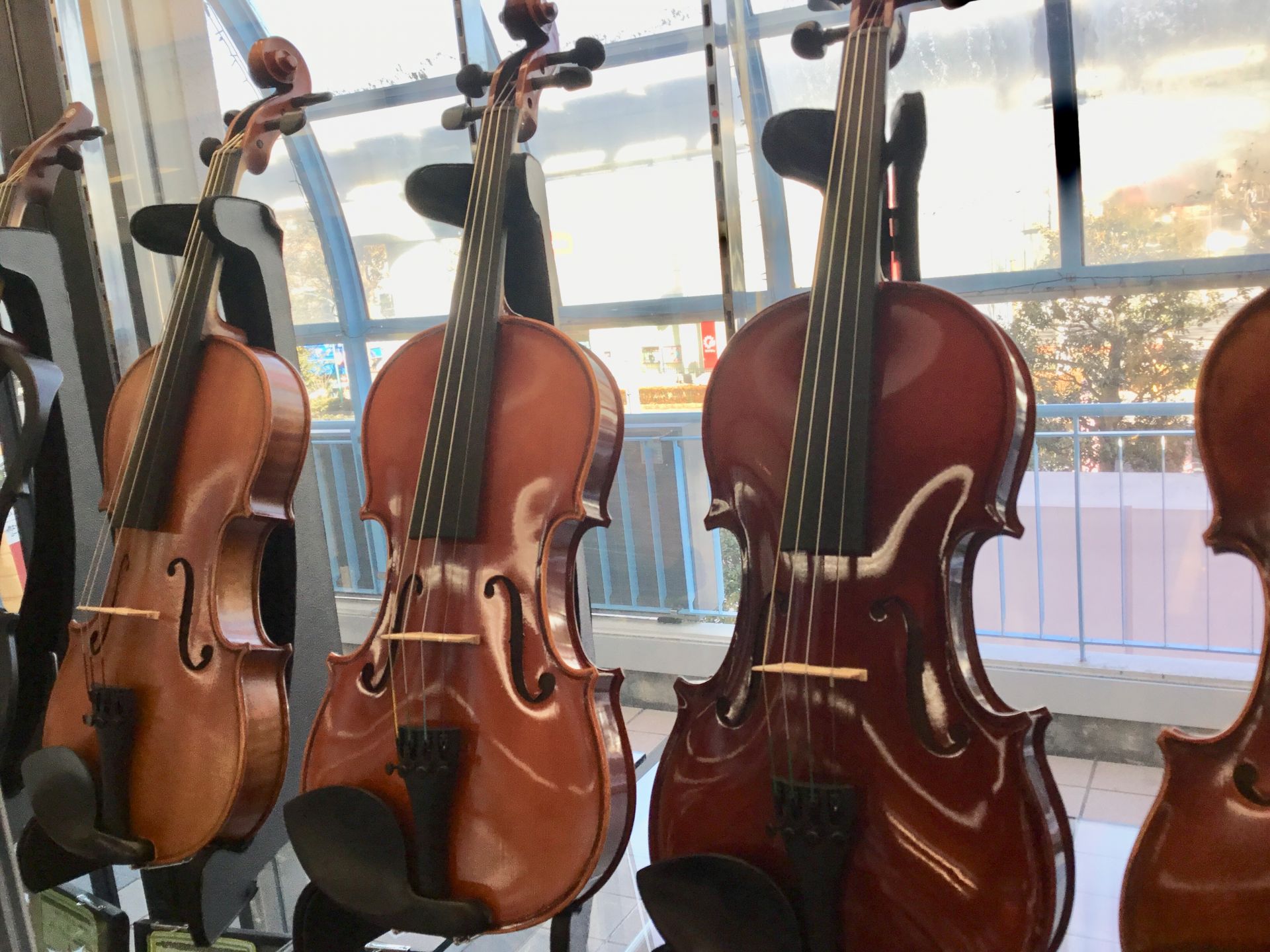 【弦楽器】ユーカリが丘店バイオリン品揃えのご紹介