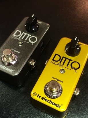 【エフェクター】上達に必携！稲垣先生オススメtc electronic ditto looper Gold