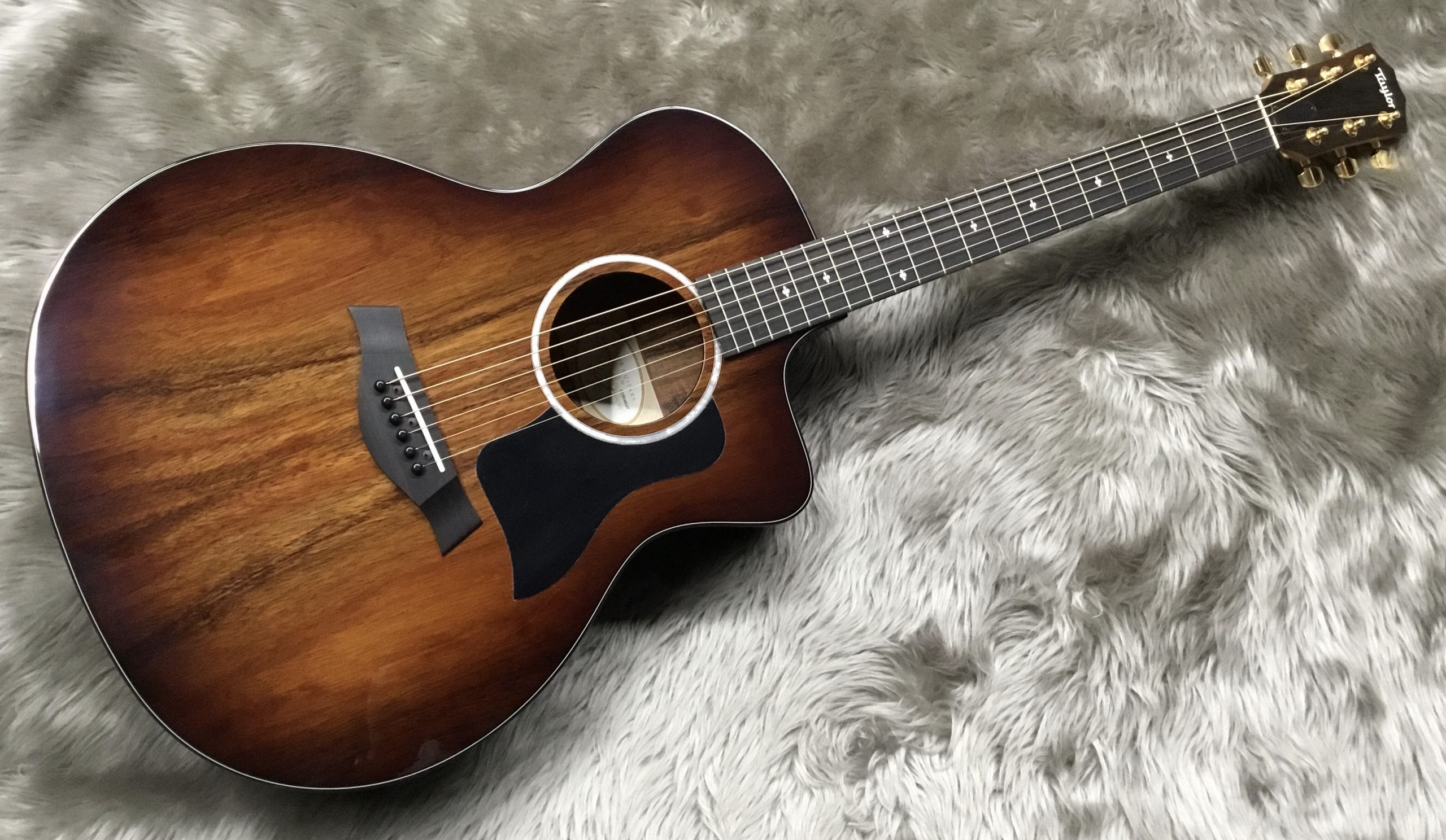 ハワイアンコアが美しい】Taylor/224ce-Koa DLX｜島村楽器 イオン