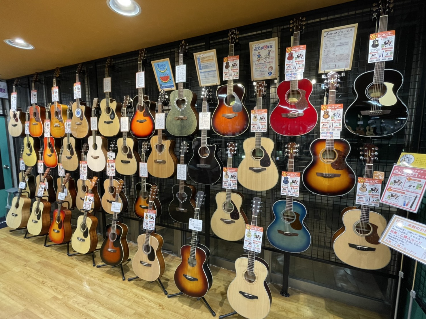 【アコギ初心者】ユーカリが丘店のギターコーナーでギターに詳しくなろう！