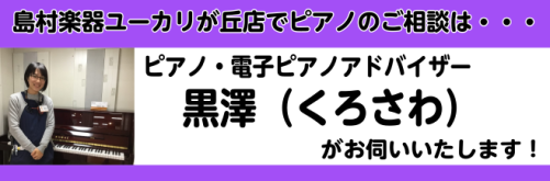 皆さんこんにちは！島村楽器イオンタウンユーカリが丘店の電子ピアノ・ピアノアドバイザーの黒澤です。お子様がピアノを習い始めてそろそろ家に練習用の楽器がほしい・・今使っている電子ピアノが壊れたので新しいものを探している・・趣味でピアノを始めたいけれどどんなもので練習したら良いか知りたい・・・などなど、ピ […]