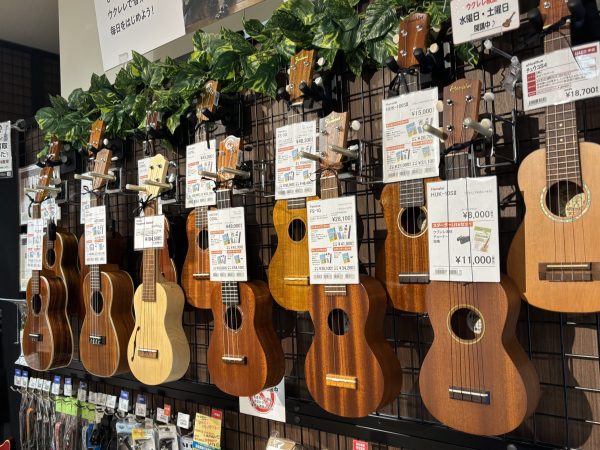 ウクレレを選ぶなら島村楽器フィール旭川店へ