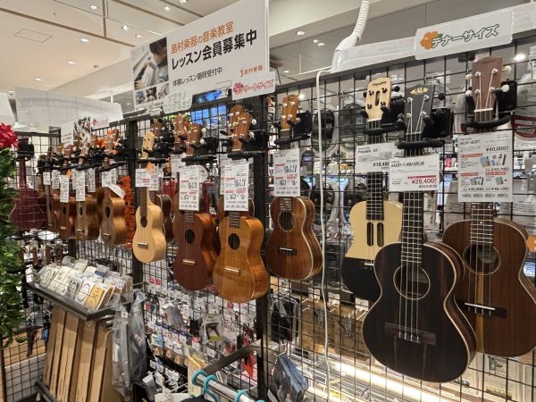 モゾ店でウクレレ生活、はじめてみませんか？🌴