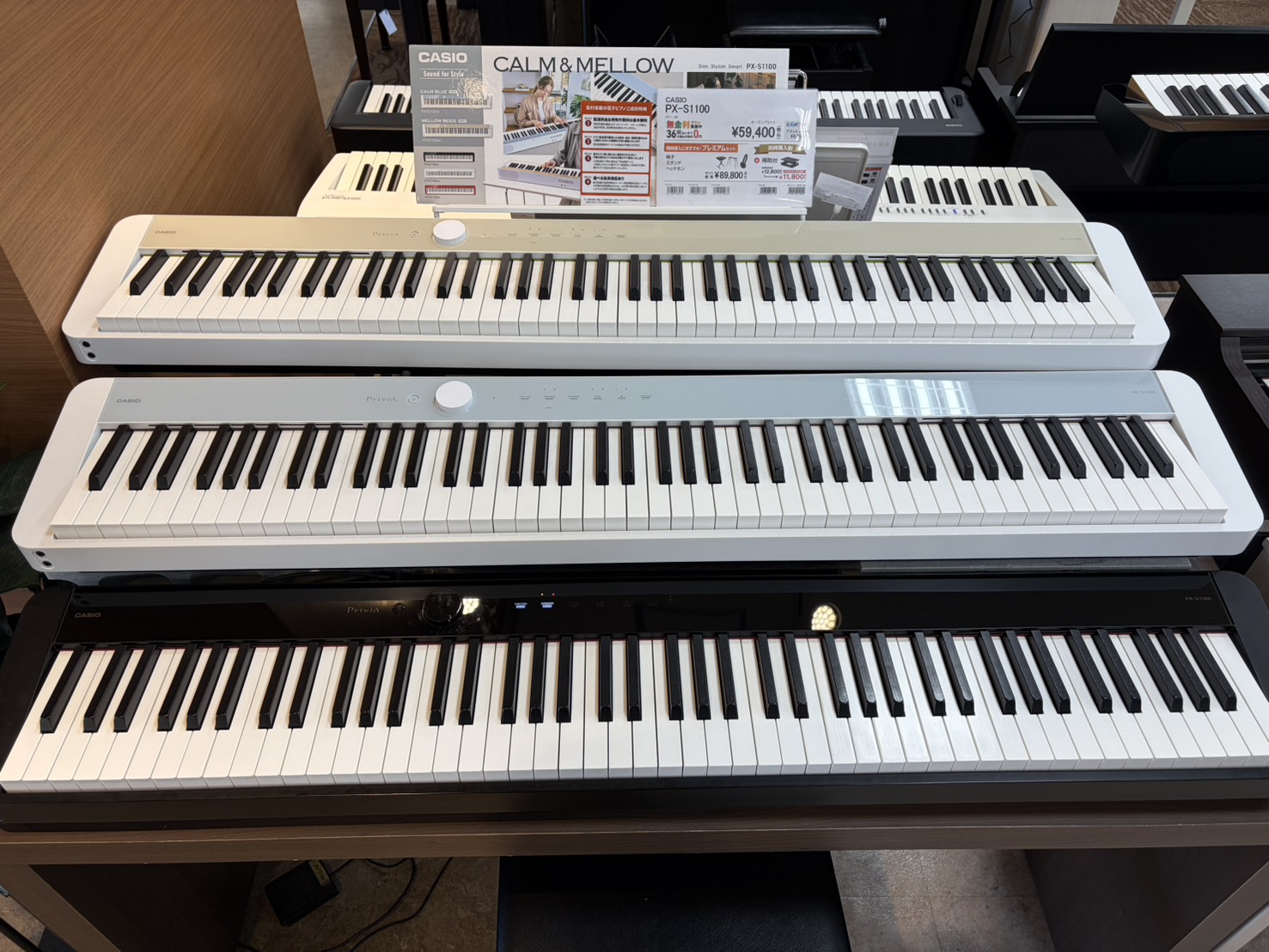 CASIOPX-S1100　CB