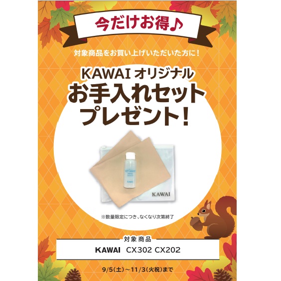 フェア特典「KAWAIオリジナルお手入れセット」プレゼント
