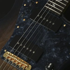 【完成】”和材”と”技術”が魅せる信州産ハンドメイドギター MJS-Sakura/E G | 信州ギター祭り2026