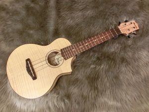 渡辺のウクレレってかわいい♪PART7～Ibanezエレウク～