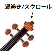 ドンドンわかる！弦楽器の仕組みVol.1 ～種類・名称編～