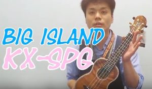 BigIsland(ビッグアイランド)かわいいカメさんのウクレレ入荷しました!