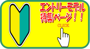 【ギター】エントリーモデル特集！！お求めやすいギターあります！！